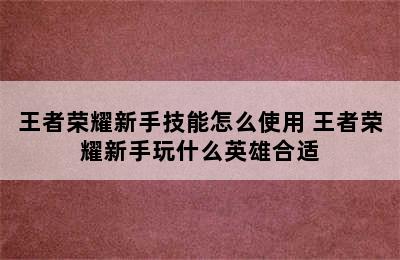 王者荣耀新手技能怎么使用 王者荣耀新手玩什么英雄合适